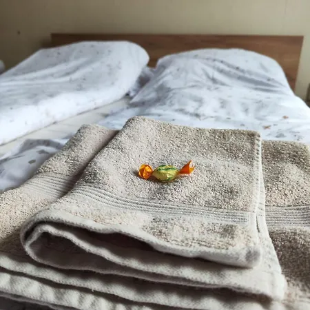 Orange Couch Apartment *