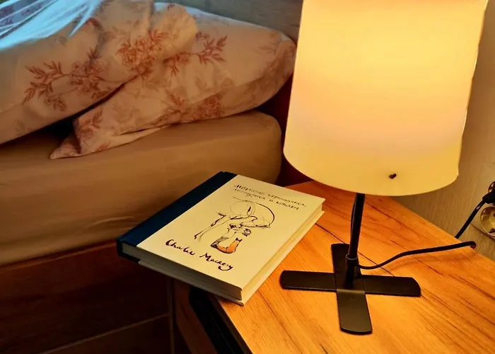 Apartment Orange Couch